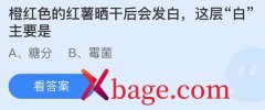 蚂蚁庄园：橙红色的红薯晒干后会发白这层白主