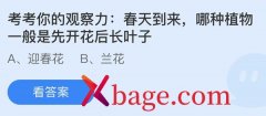 蚂蚁庄园：春天到来哪种植物一般是先开花后长