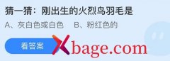 蚂蚁庄园：刚出生的火烈鸟羽毛是