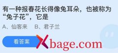 蚂蚁庄园：有一种报春花长得像兔耳朵也被称为