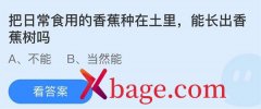 <b>蚂蚁庄园：把日常食用的香蕉种在土里能长出香</b>
