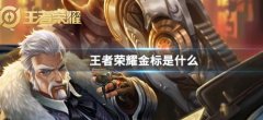 王者荣耀金标是什么