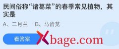 <b>蚂蚁庄园：民间俗称诸葛菜的春季常见植物其实</b>
