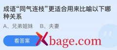 蚂蚁庄园：成语同气连枝更适合用来比喻以下哪
