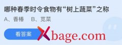 <b>蚂蚁庄园：哪种春季时令食物有树上蔬菜之称</b>
