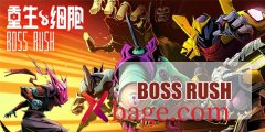 重生细胞-boss rush进入位置介绍