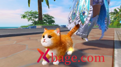 和平精英猫咪名字修改方法