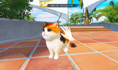 <b>和平精英家园模式猫咪领养位置介绍</b>