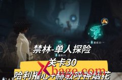 哈利波特魔法觉醒单人探险30关攻略