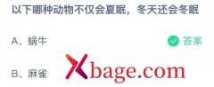 蚂蚁庄园：以下哪种动物不仅会夏眠冬天还会冬