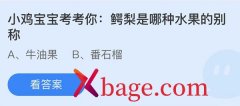 蚂蚁庄园：鳄梨是哪种水果的别称