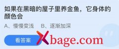 蚂蚁庄园：如果在黑暗的屋子里养金鱼它身体的