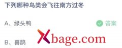 蚂蚁庄园：下列哪种鸟类会飞往南方过冬
