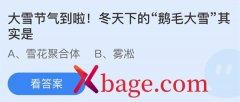 蚂蚁庄园：大雪节气到啦冬天下的鹅毛大雪其实