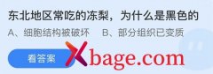蚂蚁庄园：东北地区常吃的冻梨为什么是黑色