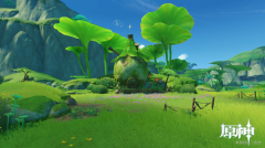 原神花开之时蔷薇花任务攻略