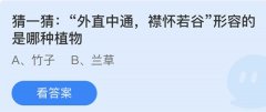 <b>蚂蚁庄园：外直中通襟怀若谷形容的是哪种植物</b>