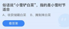 蚂蚁庄园：俗话说小雪铲白菜指的是小雪时节适