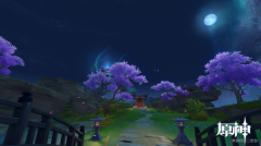 <b>原神执望三千里任务后续触发方法</b>