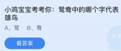 蚂蚁庄园：鸳鸯中的哪个字代表雄鸟