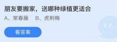 蚂蚁庄园：朋友要搬家送哪种绿植更适合