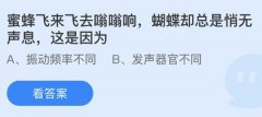蚂蚁庄园：蜜蜂飞来飞去嗡嗡响蝴蝶却总是悄无