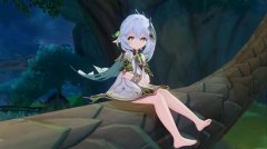 <b>原神须弥每日委托大全</b>