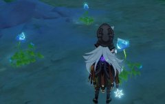 原神中冰雾花花朵摘取位置介绍