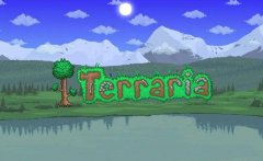 泰拉瑞亚飞镖排行