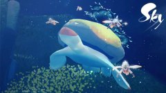 光遇海洋节攻略大全