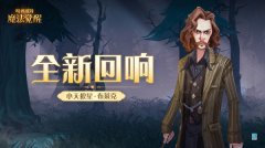 哈利波特魔法觉醒小天狼星回响卡组推荐