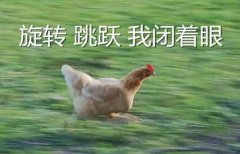 养鸡表情包大全