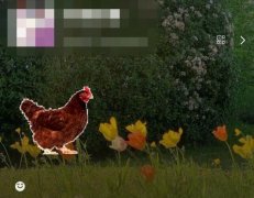 微信农场背景图大全