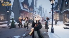 哈利波特魔法觉醒金卡兑换码