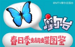 摩尔庄园蝴蝶图鉴大全