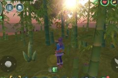 创造与魔法竹笋位置图