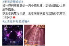 王者荣耀瑶婚纱介绍