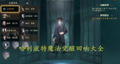 <b>哈利波特魔法觉醒回响图鉴大全</b>