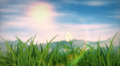 灵魂潮汐兑换码大全