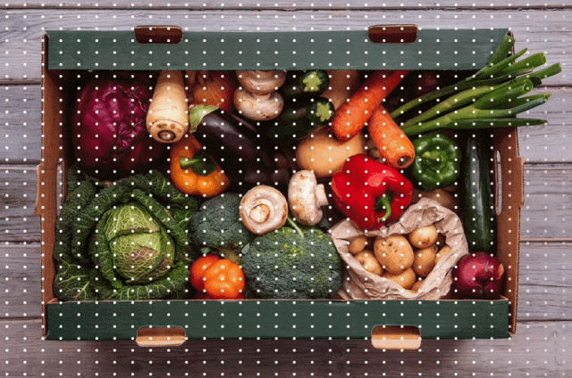 小模型也可以「分割一切」，Meta改进SAM，参数仅为原版5%