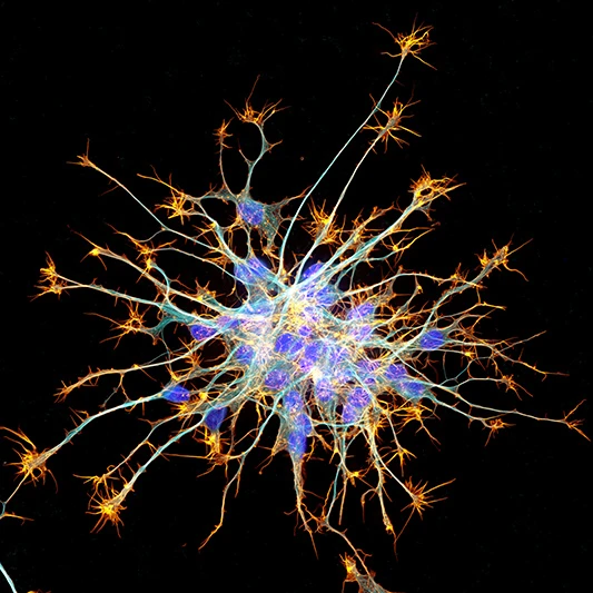 Nature:2024 年值得关注的科学事件,GPT-5、嫦娥六号、超级计算机等上榜