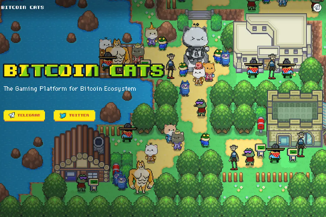 开盘后涨幅超15倍，比特币链游Bitcoin Cats有何魅力