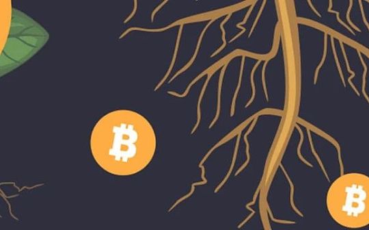 比特币生态铭文热度未必能持续 那么能持续的会