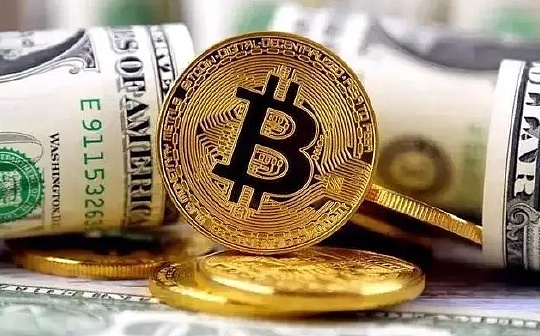 Galaxy：2024年机构加密货币对冲基金和风险投资报告