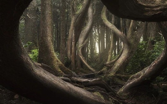 CEX平台暴雷风险揭秘：保障资产安全的重要性