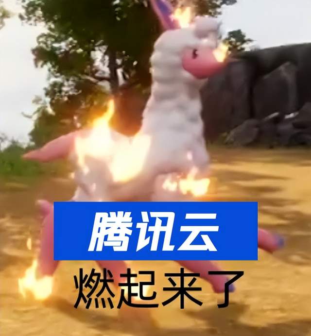 幻兽帕鲁,怎么就把云厂商卷疯了?