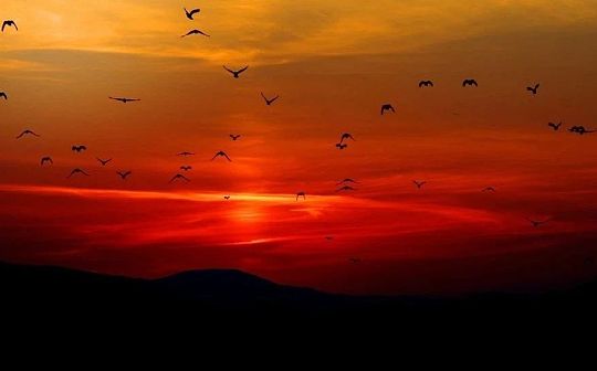 2024年2月比特币市场动态及投资策略分析