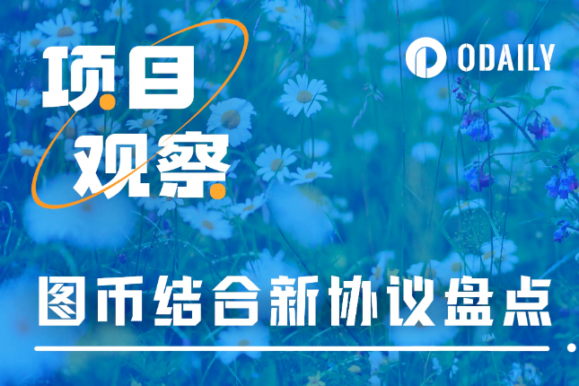 图币结合成为热点，哪些新协议能够接棒ERC-404？