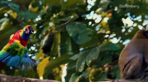 外媒抢先实测Sora,视频大翻车惨不忍睹?不懂物理/动物变形/速度巨慢,但初创公司已经创死一片