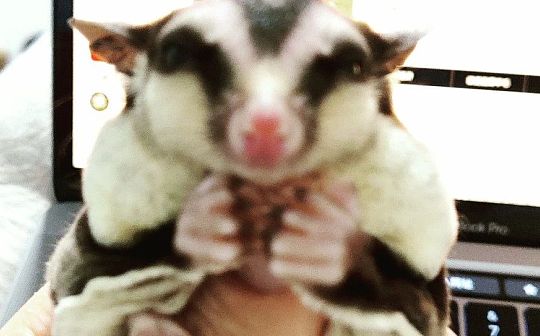 EYWA：在减半之前带来流动性？